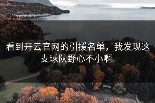 看到开云官网的引援名单，我发现这支球队野心不小啊。