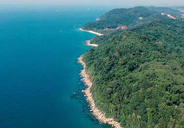 世界杯焦点战 ｜ 曼联对阵巴黎，赛后讨论点有点多，东契奇引发讨论，有人专门跑去对照赛况